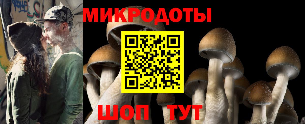 Гусев  Псилоцибиновые грибы Psilocybe  Галлюциногенные грибы Psilocybine cubensis  Вход с VPN 